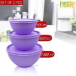 FreshLife Sympathy Bowl with Lid Set of 3 - Image 3