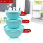 FreshLife Sympathy Bowl with Lid Set of 3 - Image 4