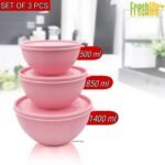FreshLife Sympathy Bowl with Lid Set of 3 - Image 2