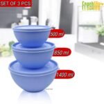 FreshLife Sympathy Bowl with Lid Set of 3 - Image 5